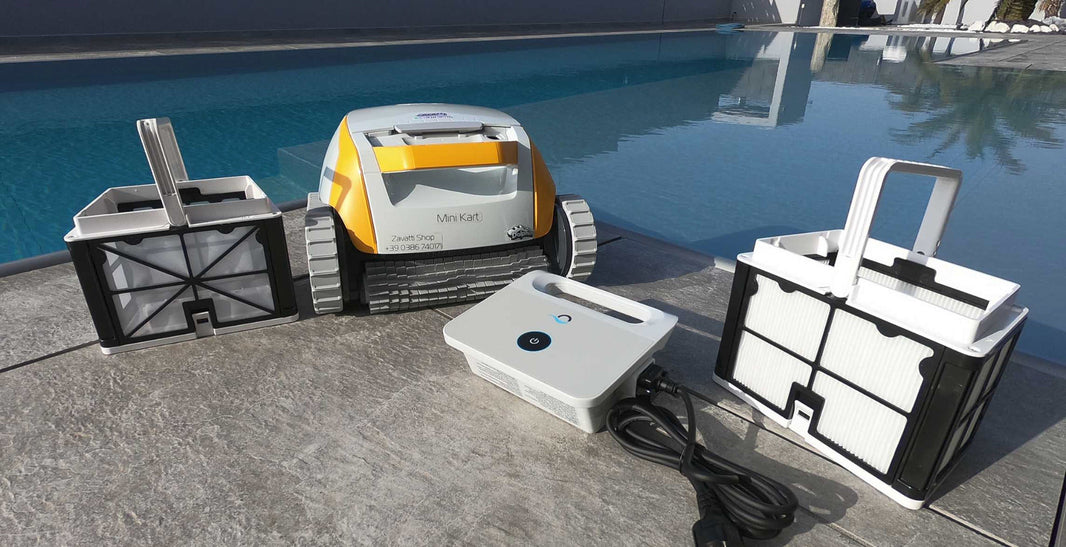 Robot Dolphin Mini Kart