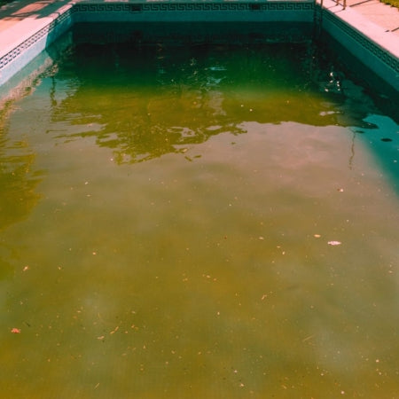Acqua Piscina Marrone
