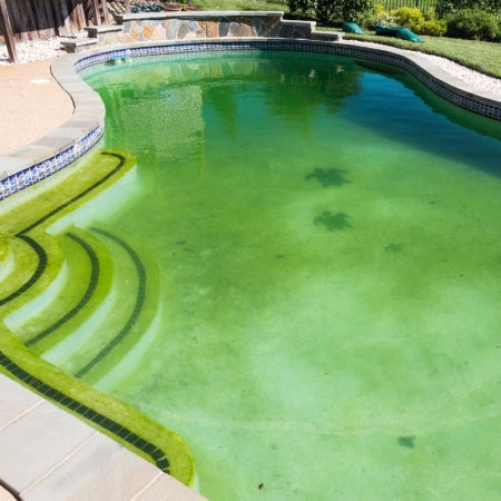 Acqua Piscina Verde