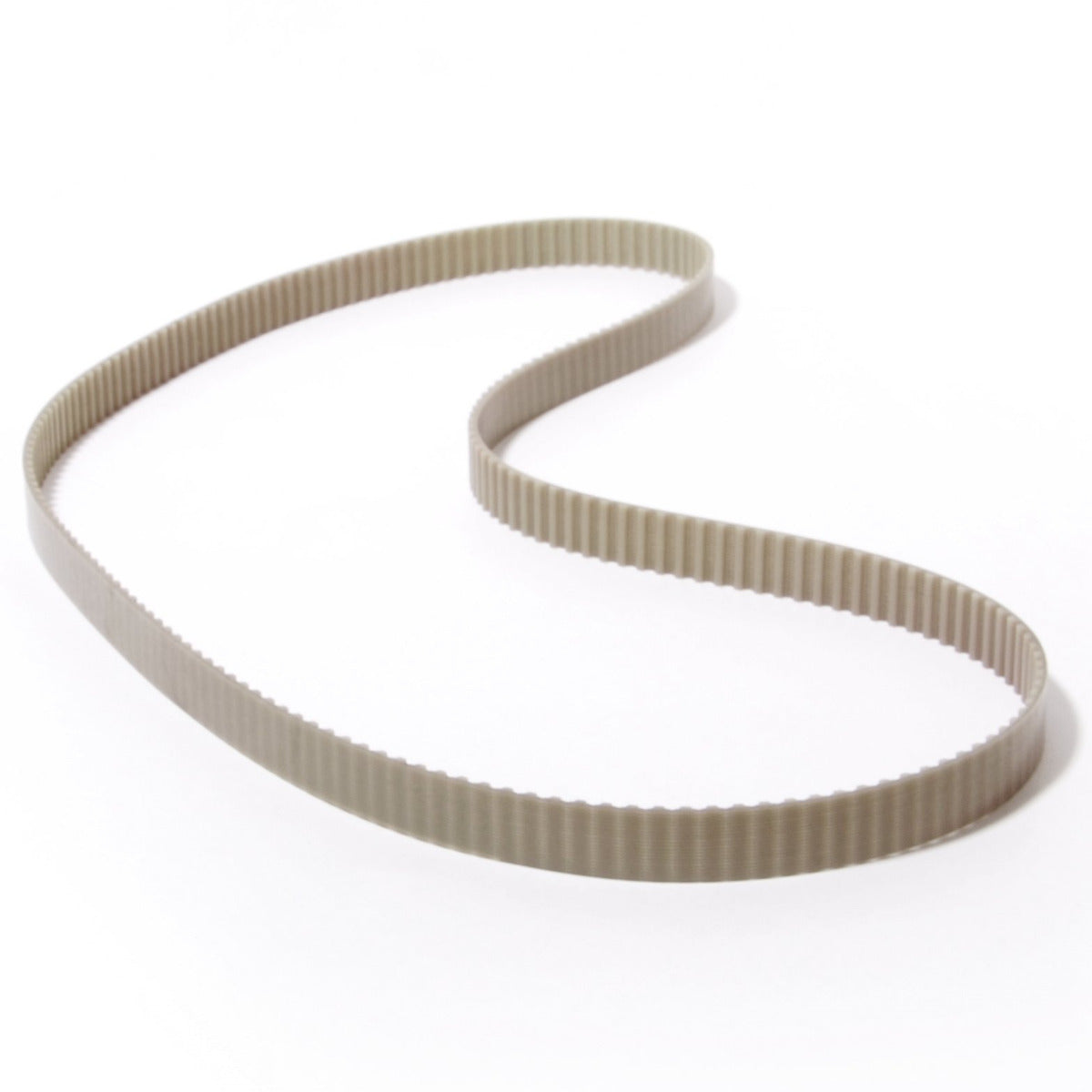 Maytronics 5581075 - Cinghia di trasmissione di ricambio Dolphin Magic e Luminous