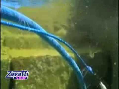 Robot pulitore piscina Dolphin Maytronics BIO-S
