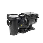 Pompe de filtration à vitesse variable Dab E.Swim 300