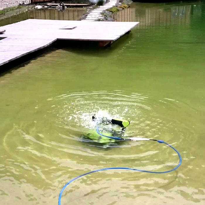 Robot pulitore piscina Dolphin Maytronics BIO-S pulizia biolago