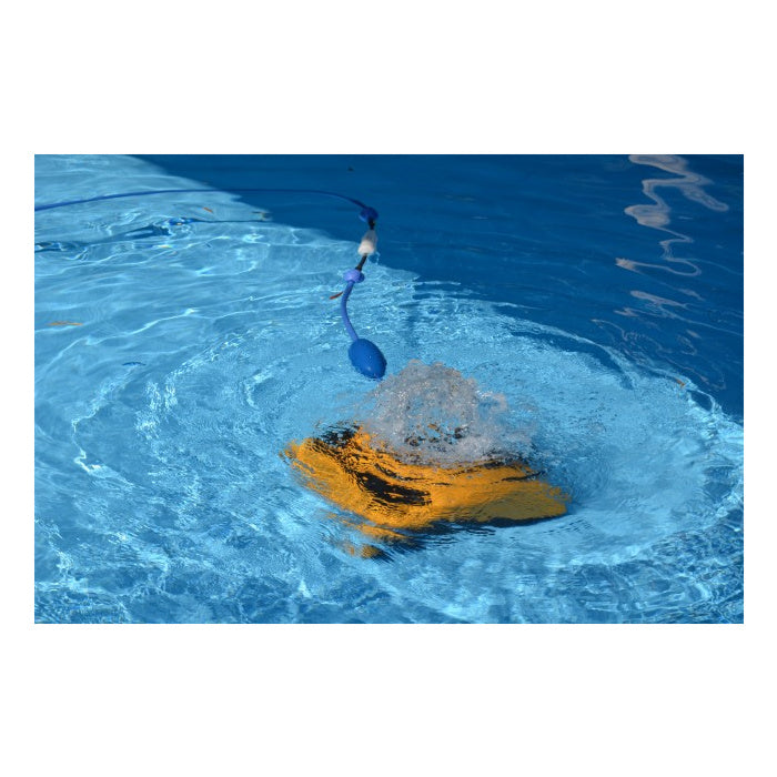 Robot per piscine Dolphin W20 in acqua
