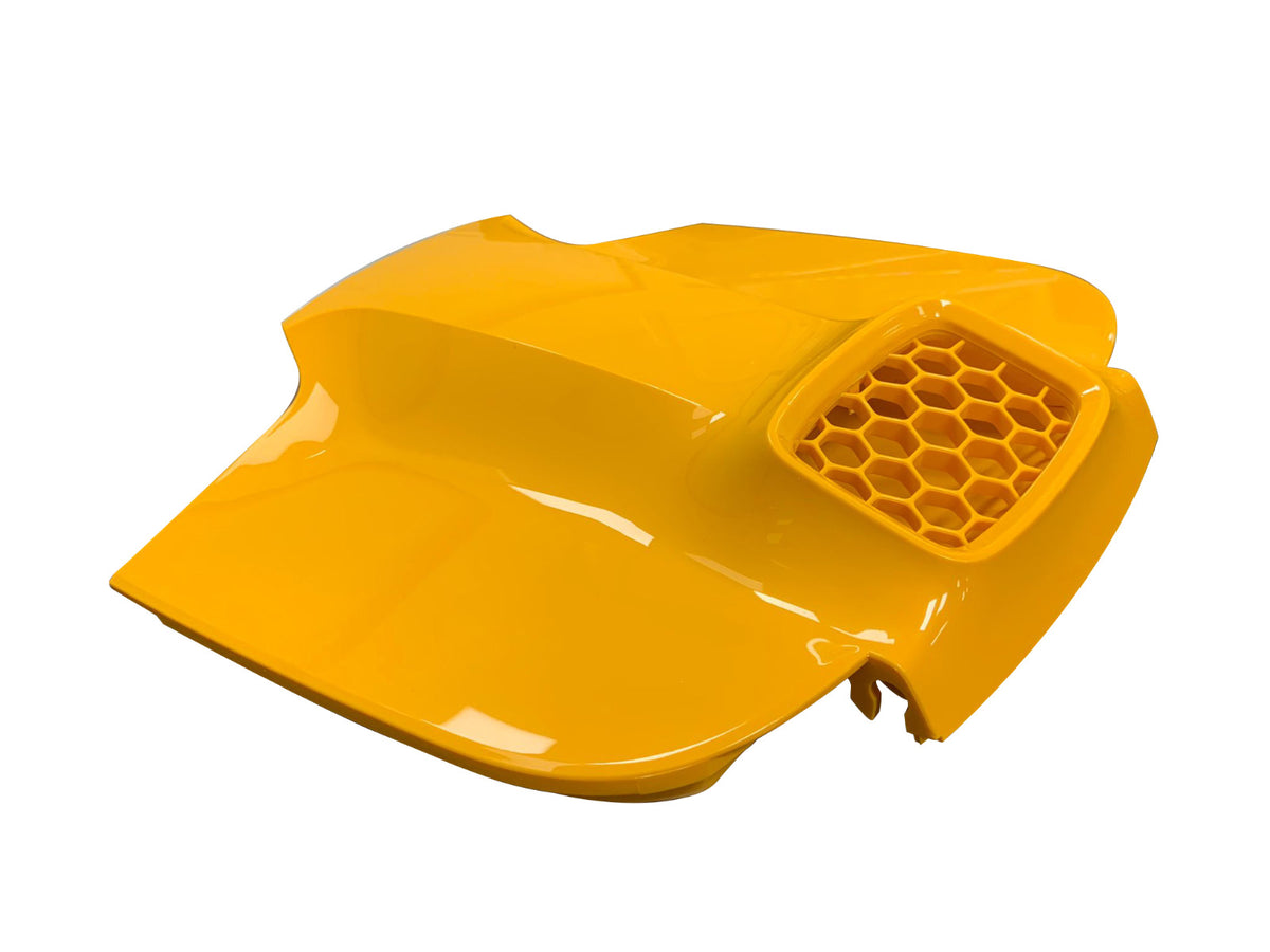 Coperchio robot Dolphin E30